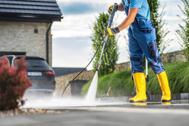 Best Roof Washing  in Bangor Base, WA